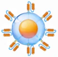 Immune Cell Culture Cytokines
